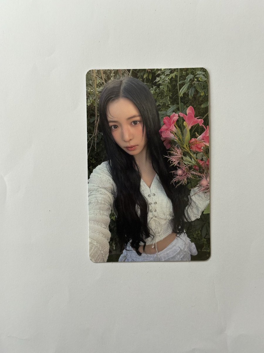 nwu92868 tweet media