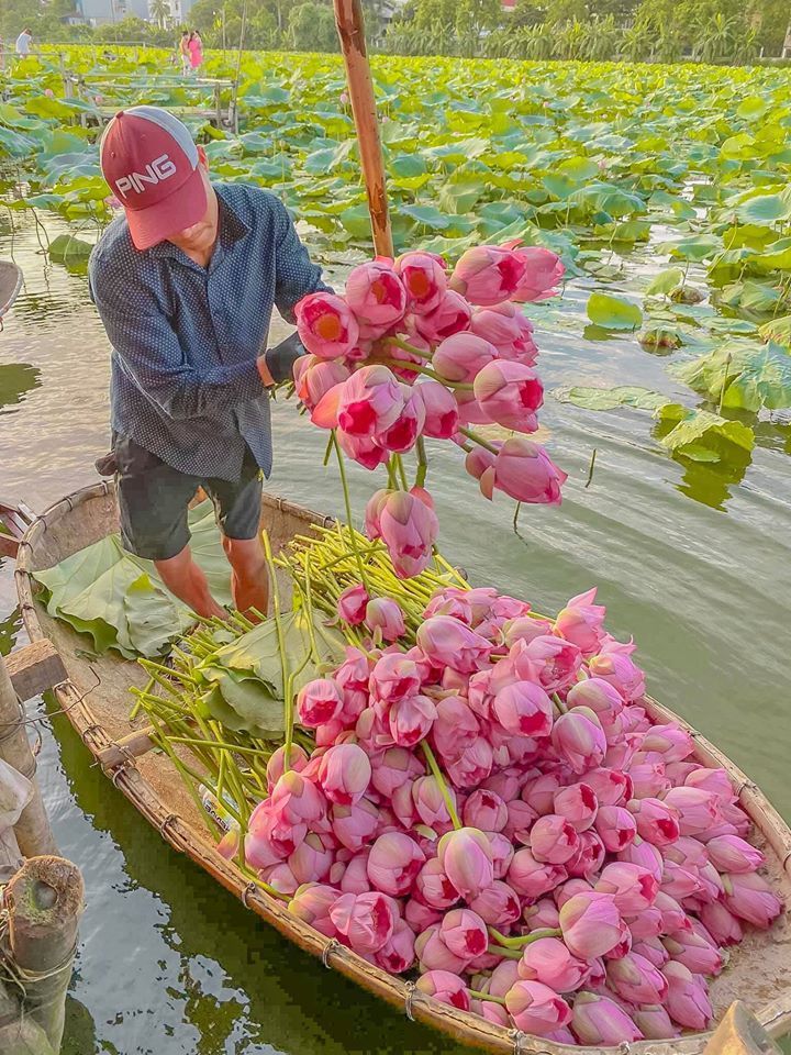 Blooming ideas tweet media