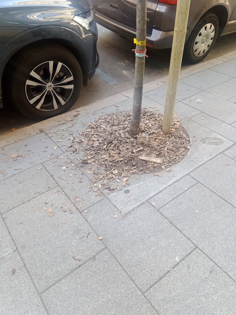 Jose Luis MaQuieira tweet media