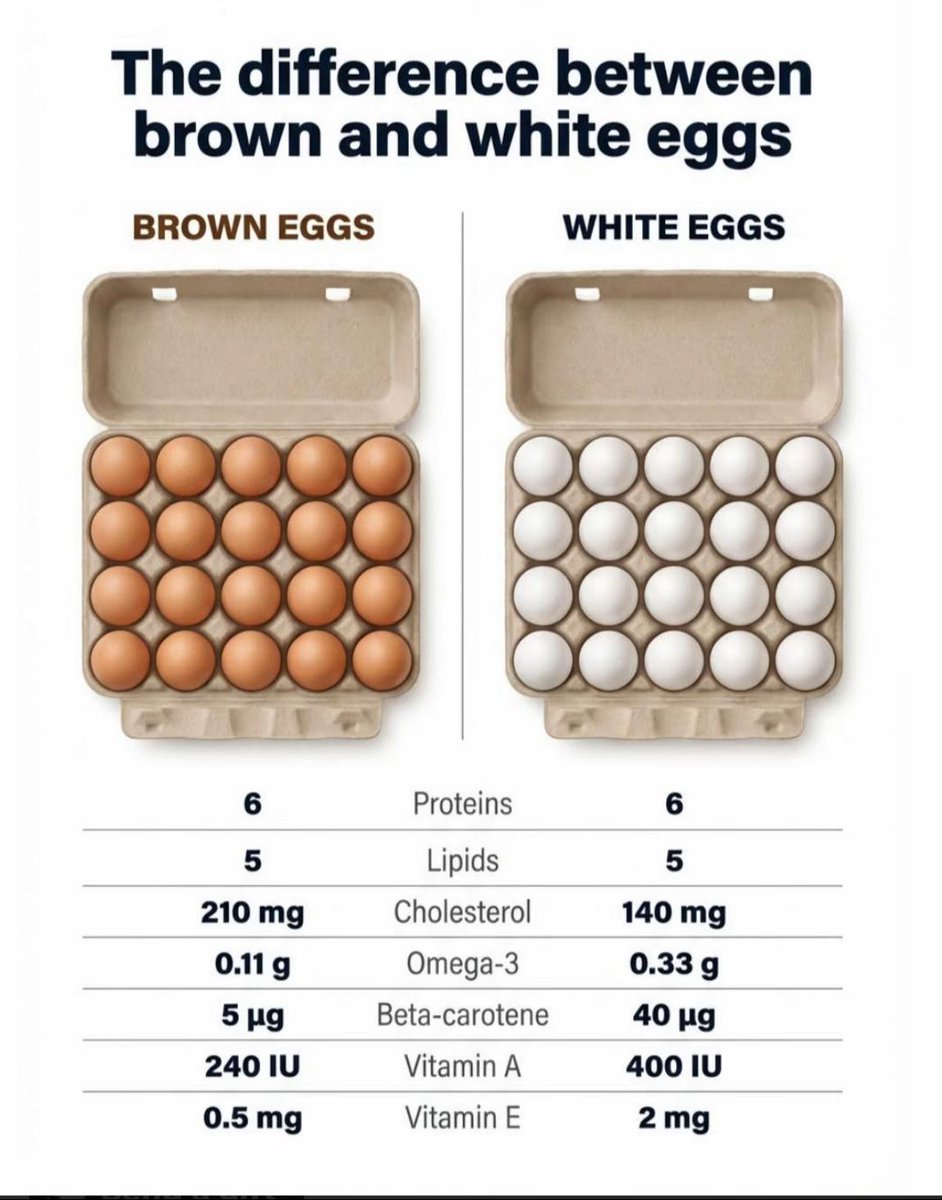 Een ei is een ei, behalve als het een bruin of wit ei is...🤔