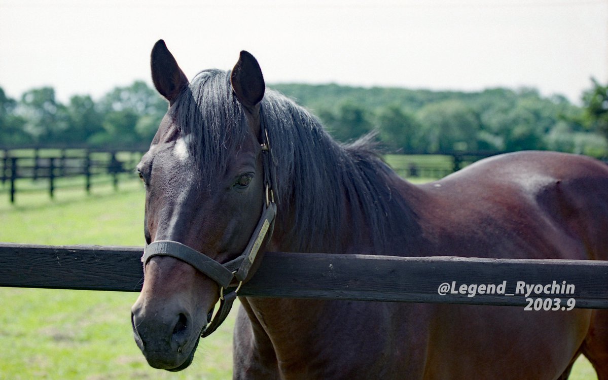 Ryo-chin tweet media