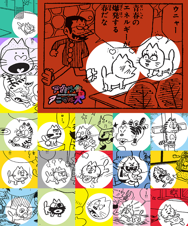 🆙アカツカアニマルズなのだ！
koredeiinoda.net/animals/as1665…

🐈🐈🐈なのか？

#FujioAkatsuka90thAnniversary