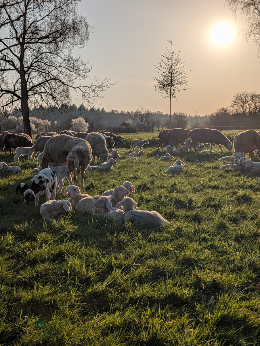 reeedelephants 🏳️‍🌈☕🍀🕊️🐈‍⬛ tweet media