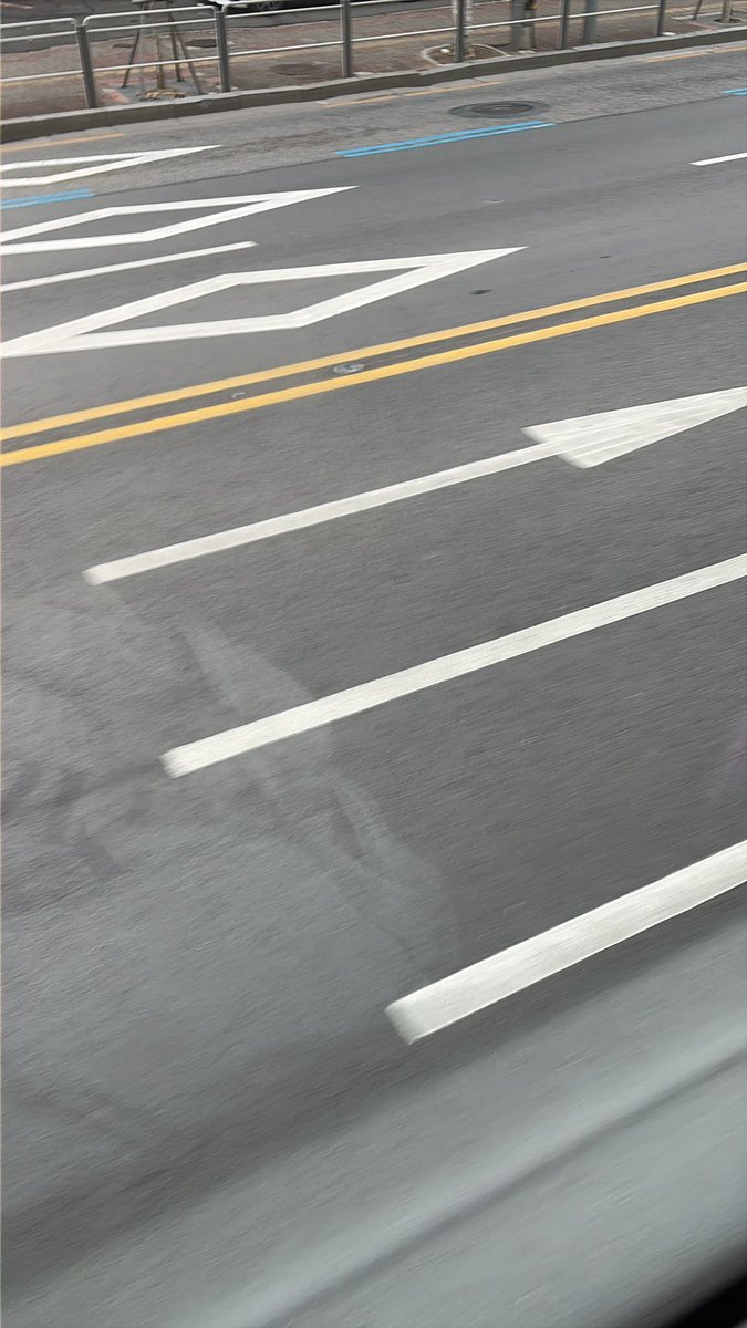 고사리 tweet media