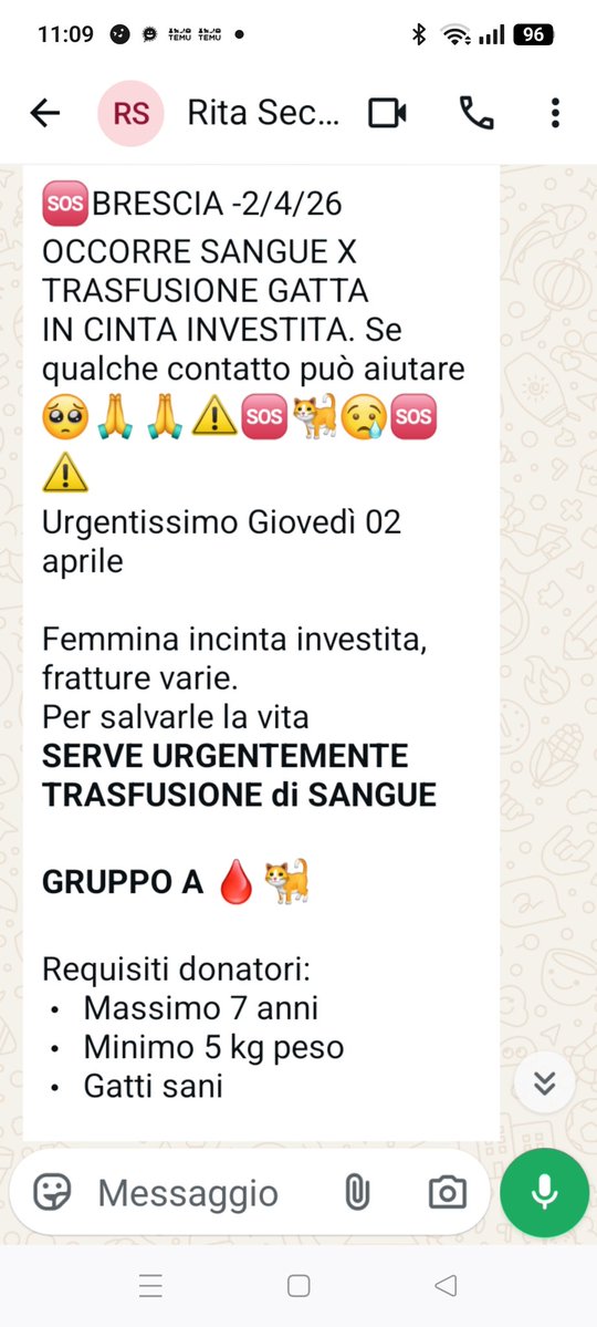 Emilystellaemi2 tweet media