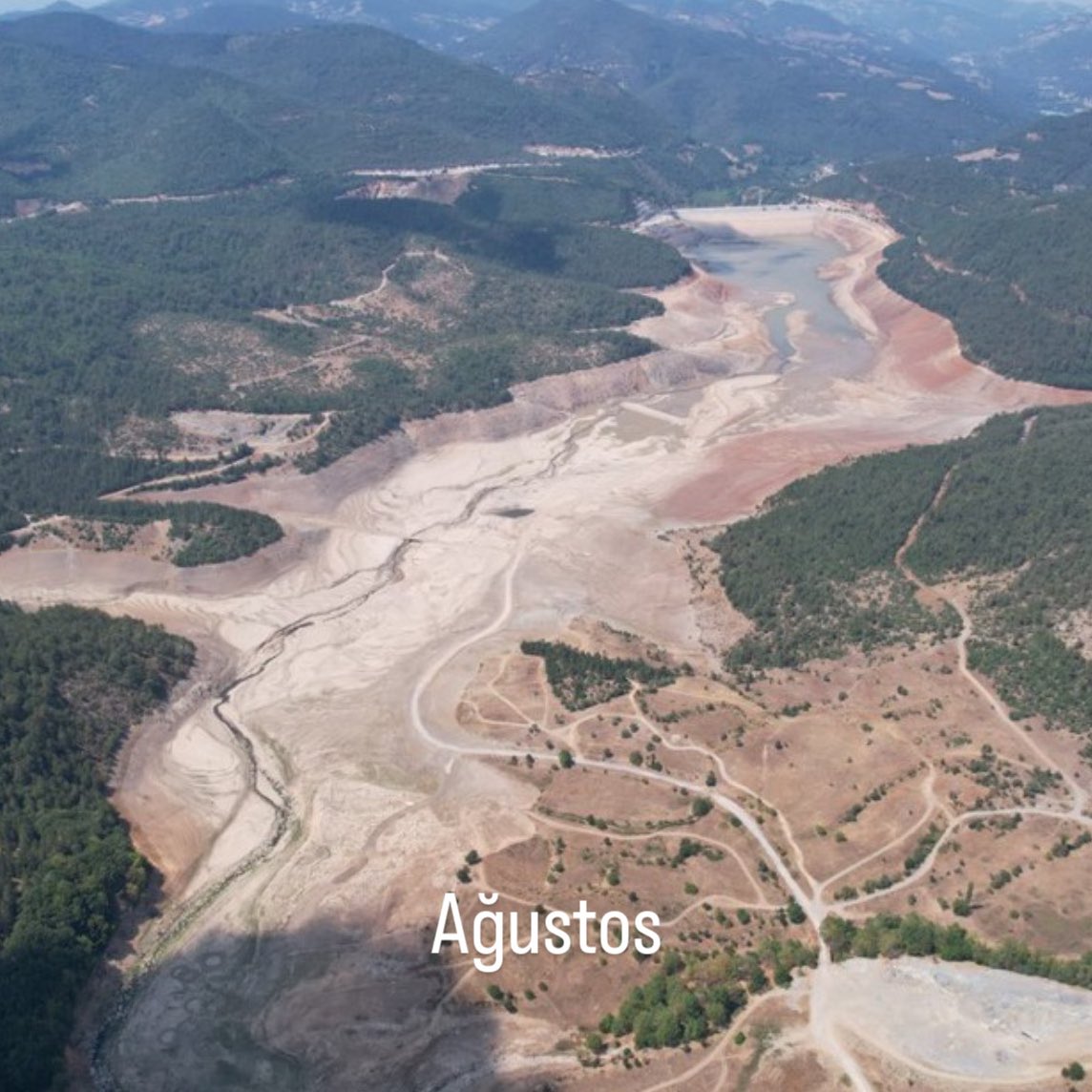 Gusholder Haber Bülteni tweet media