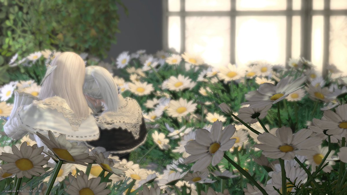 みれい tweet media