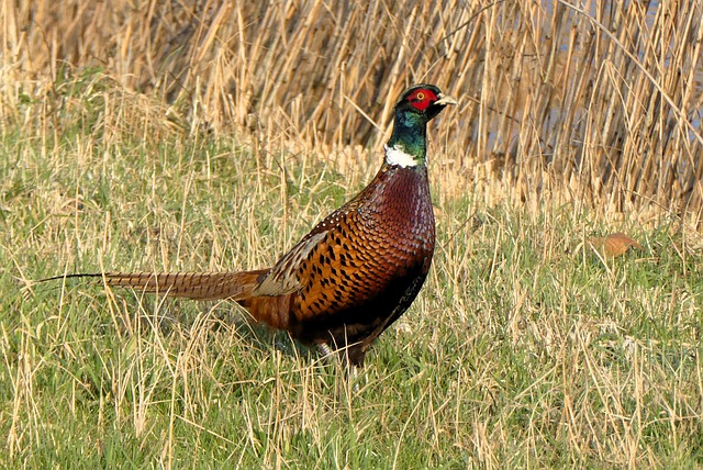 Leila Warren tweet media