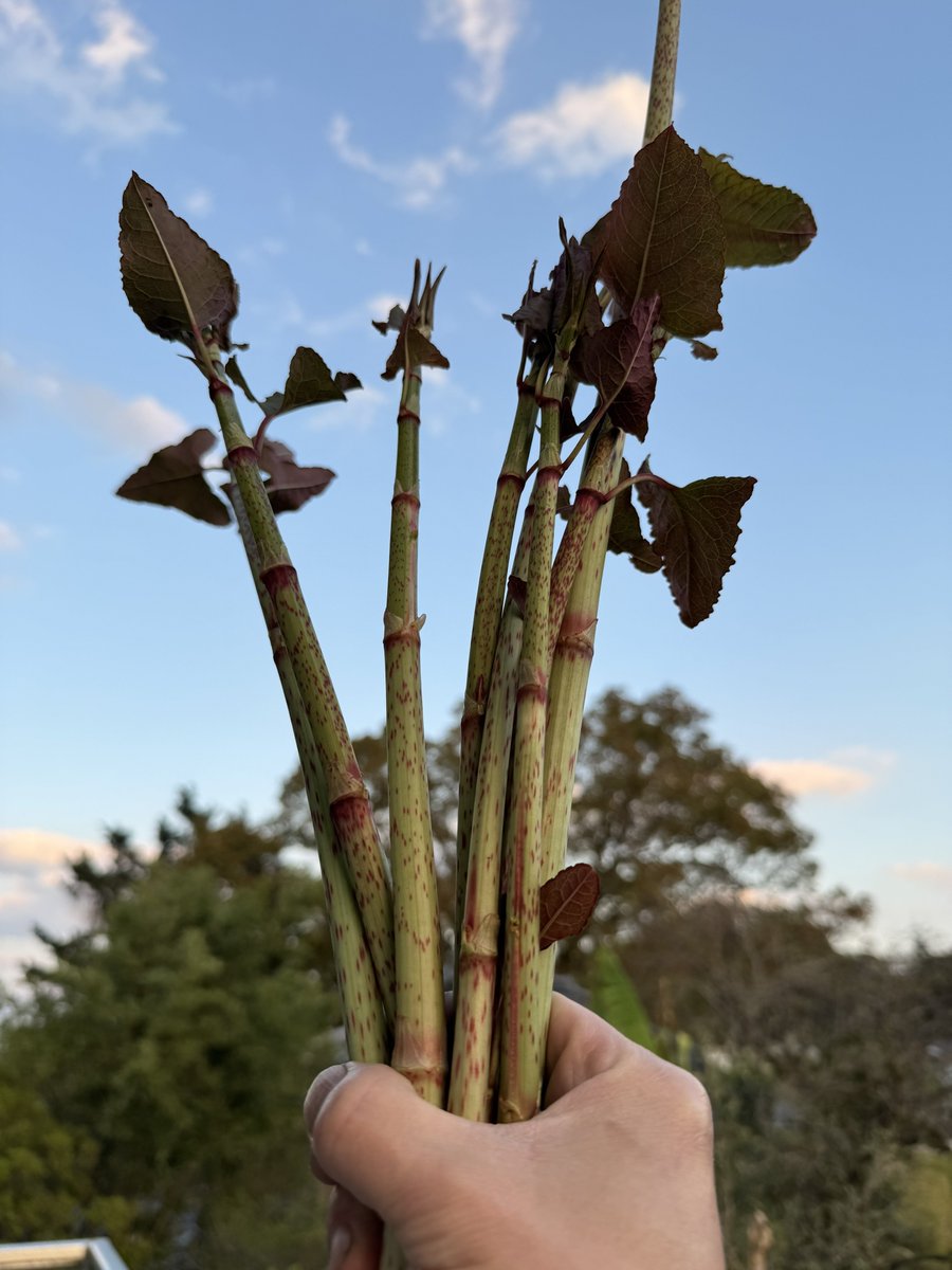 多田水産（の中の人） tweet media