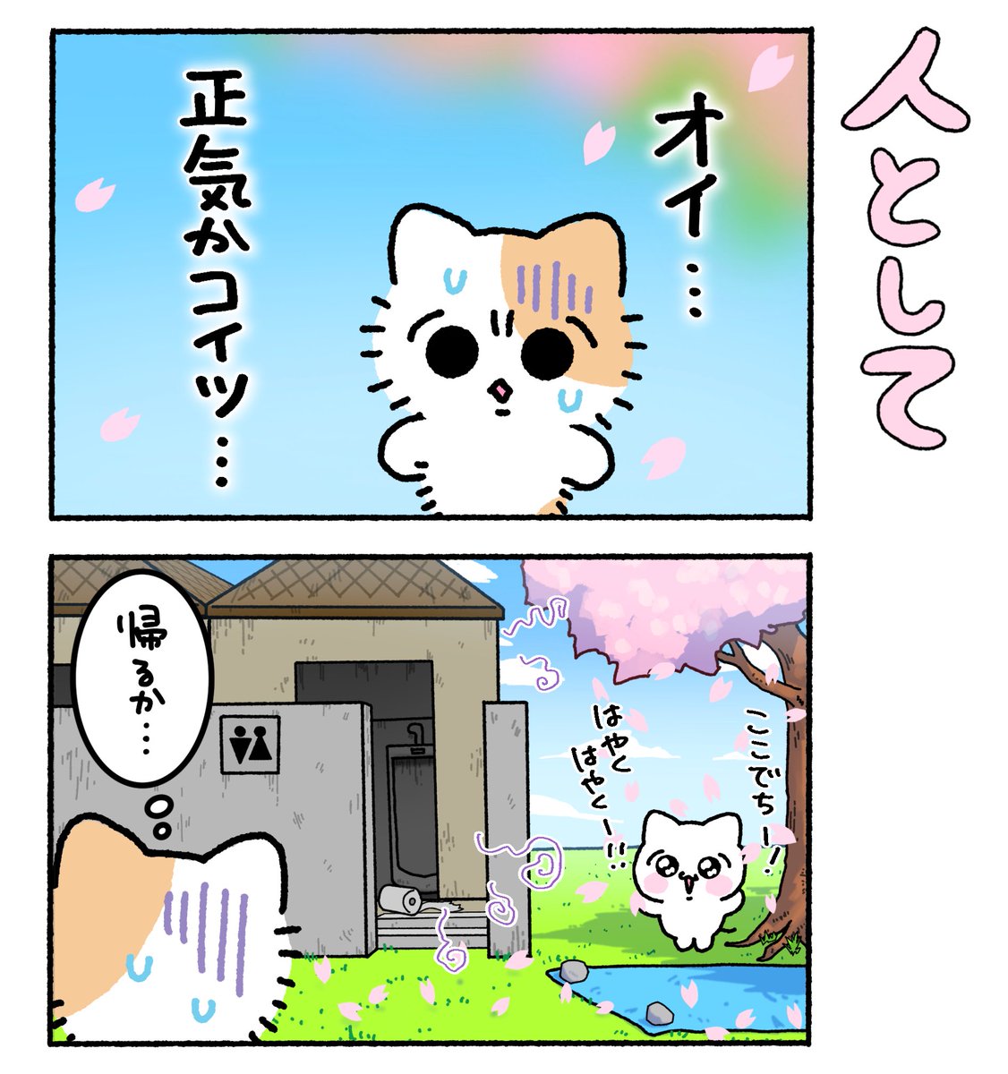 まいにちみーちゃん tweet media