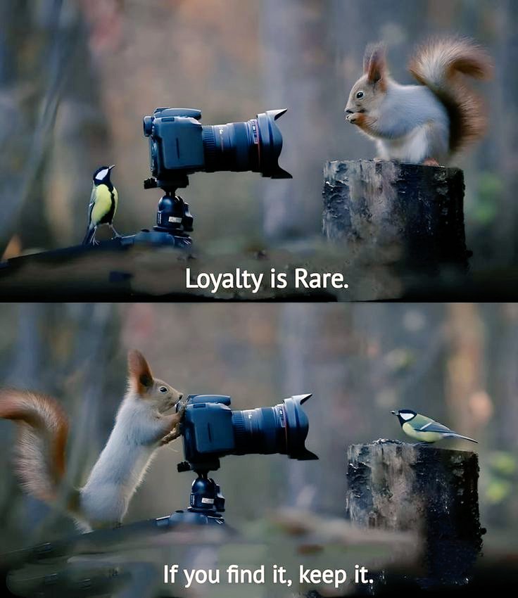 Eva Vyas tweet media