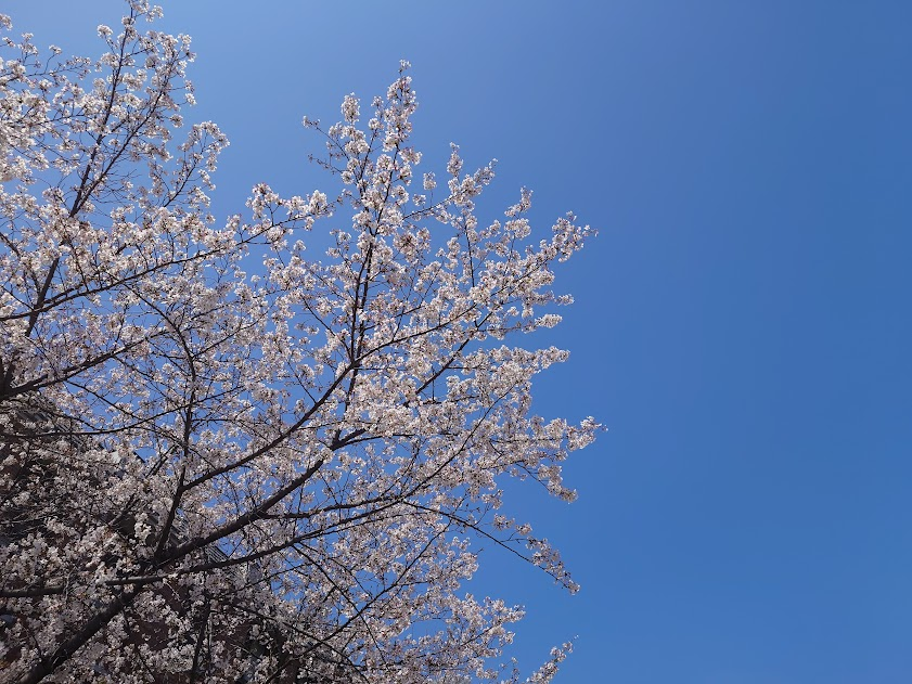 Jimpei Hitsuwari (じんぺー) tweet media