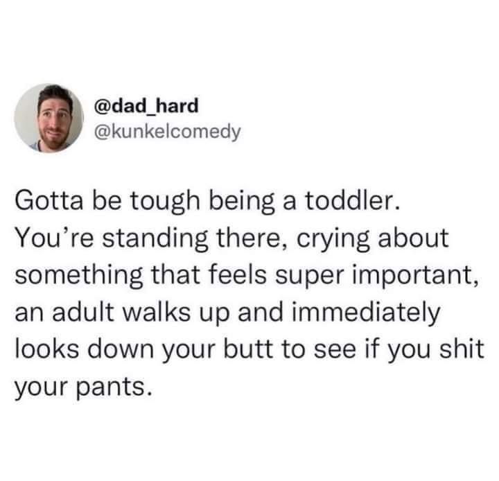 Wolf of X tweet media