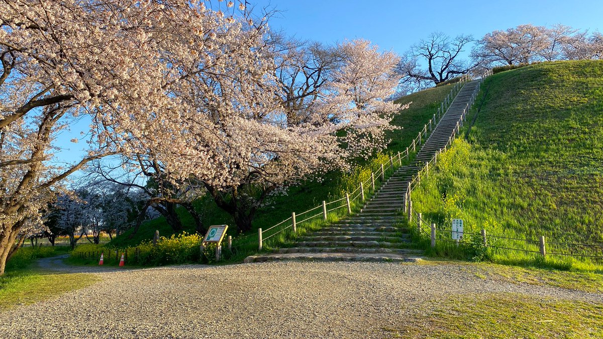 HayneRyo tweet media