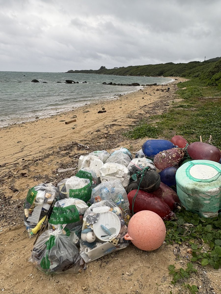 Otibari @2017 tweet media