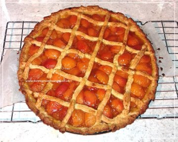 Hope You're Hungry tweet media