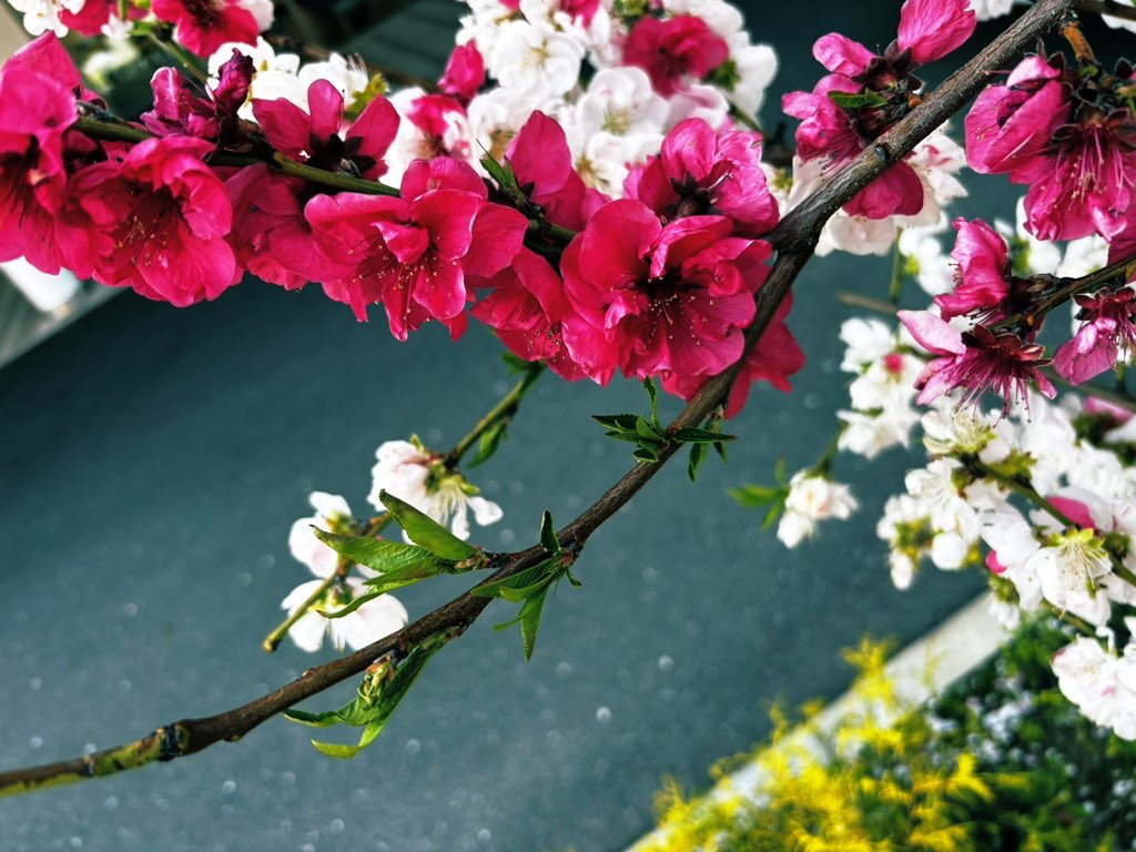 ユリイカ tweet media