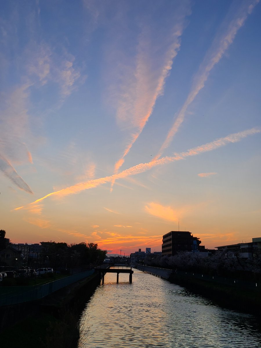 篠周平/理学療法士/臨床と教育 tweet media