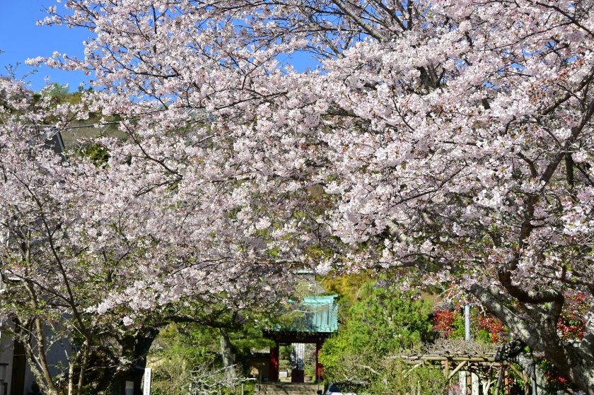 イリヤ tweet media