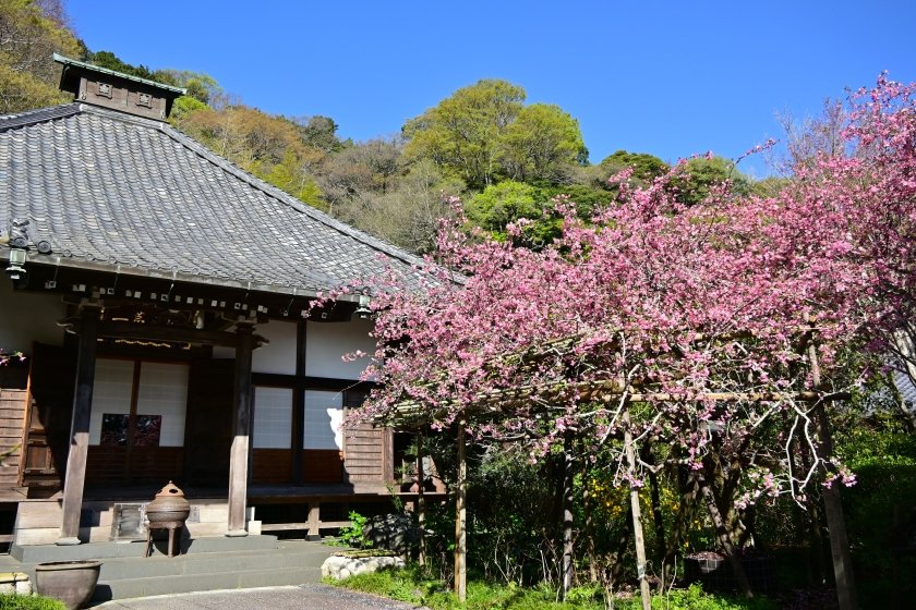 イリヤ tweet media