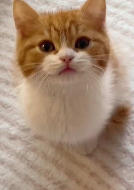 God Shiller 💊 tweet media