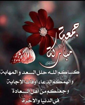 الطيار الرايق$$$✈️✈️✈️🌹 tweet media