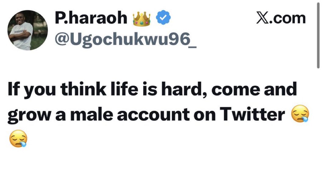 komugisha Peace tweet media