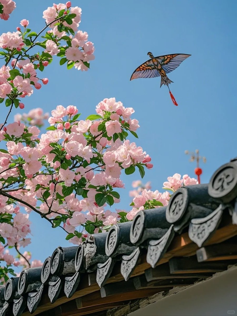 牛奶小草莓(互fo) tweet media