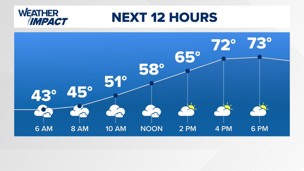 Andrea Michaels tweet media