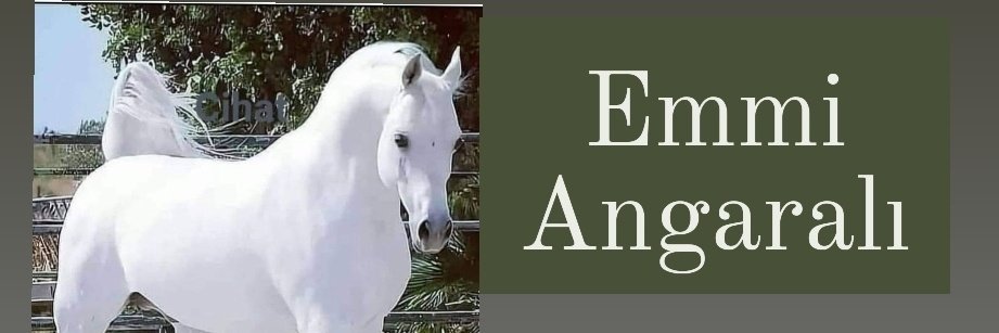 Cengizhan ( ANGARALİ EMMİ & CENGİZ EFLATUN ) tweet media