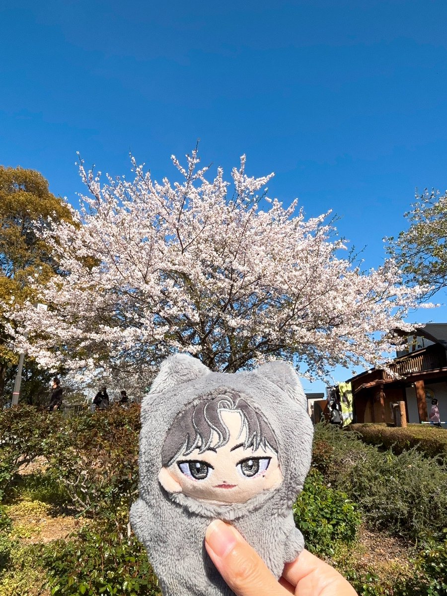 yurin_787 tweet media