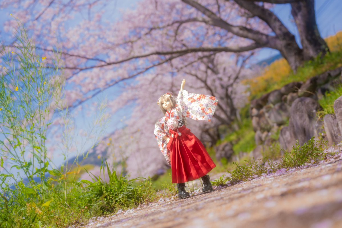 あんさんぶる！ tweet media