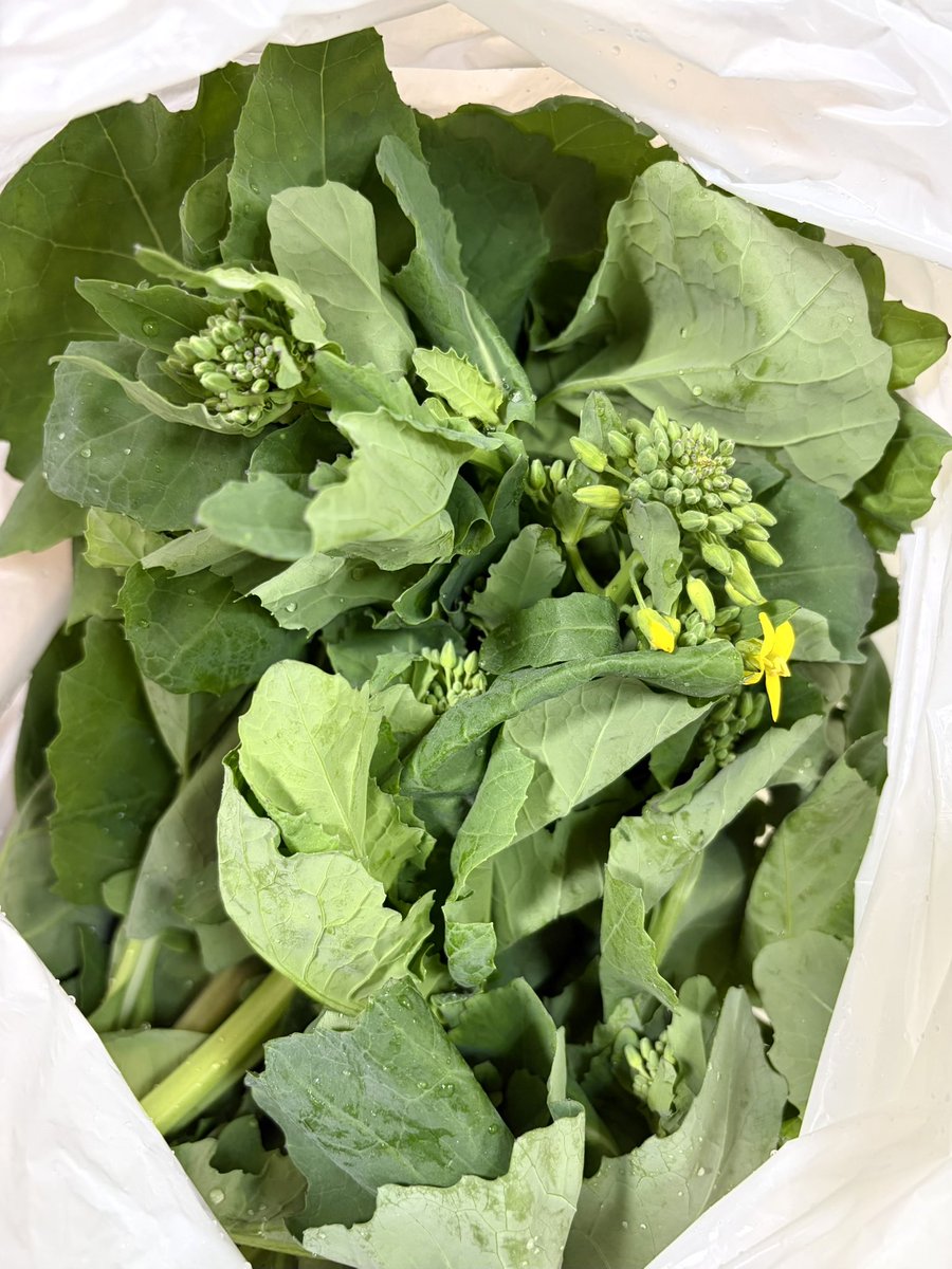 たにりり『よき食べ手』 tweet media