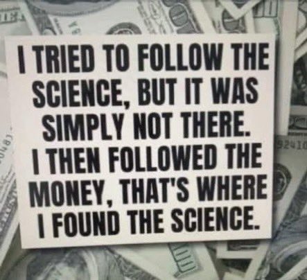 Bisontraveller tweet media