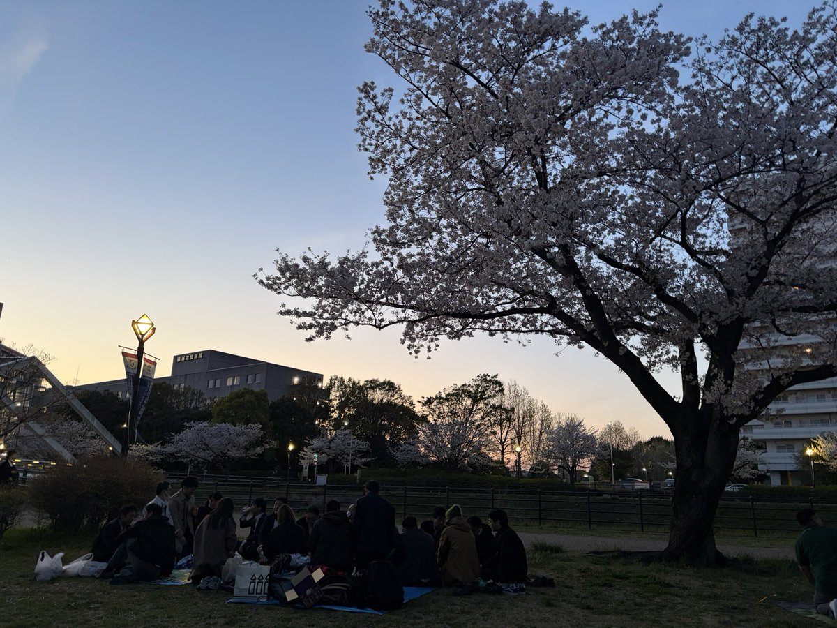 源氏名:るみ tweet media