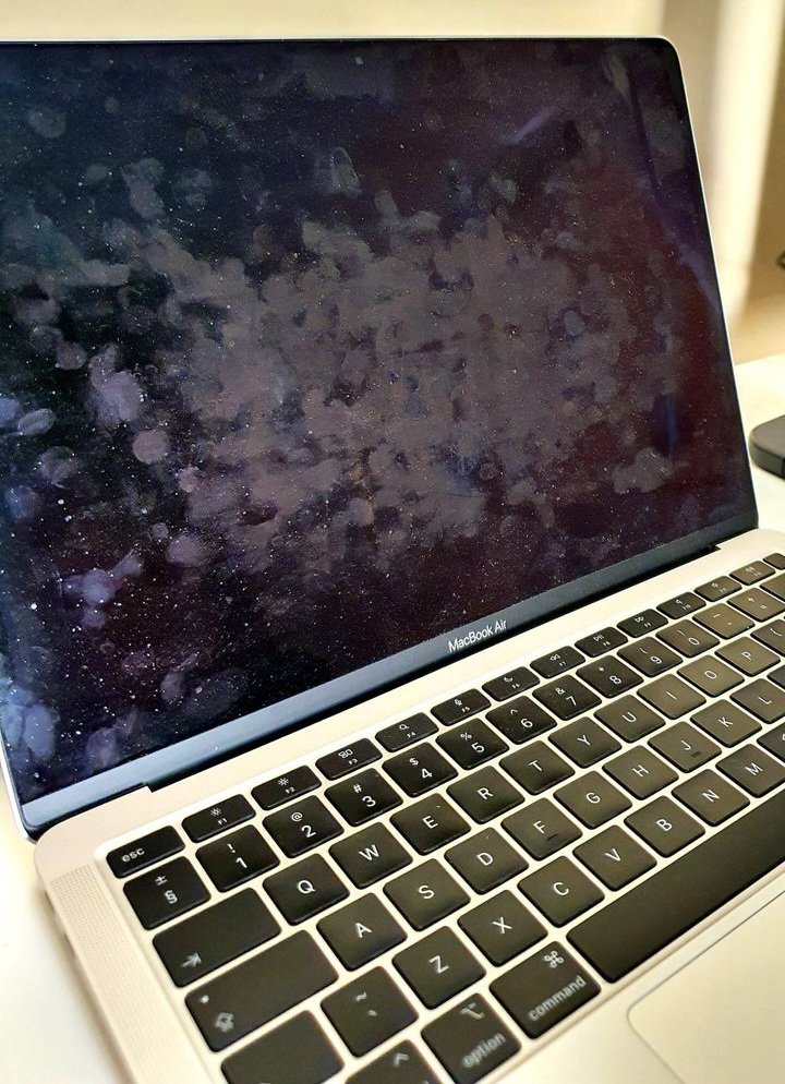 AlgoGirl tweet media