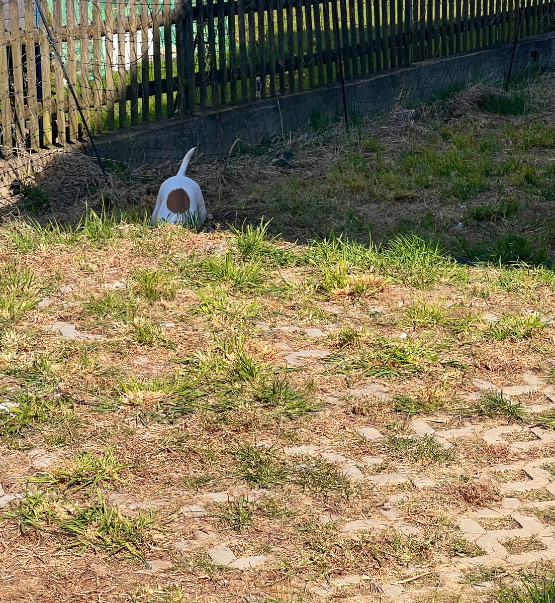 Mind Freak tweet media