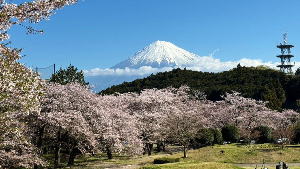 (ふるーつ)たると@2024年日本一周（完） tweet media