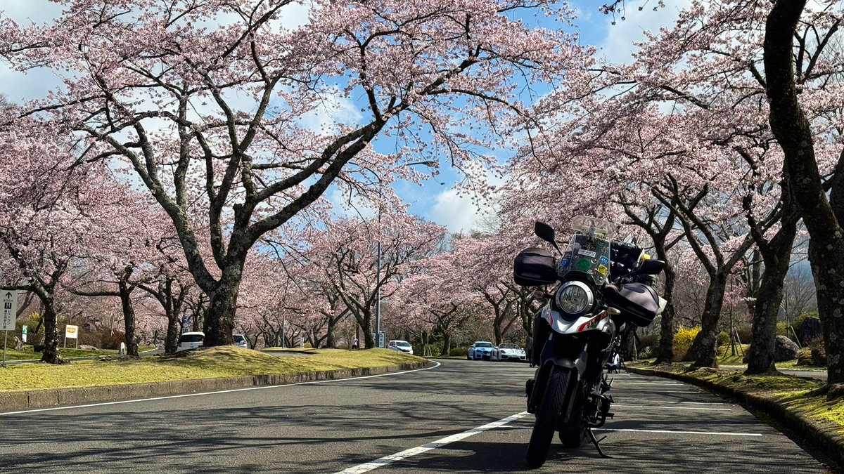 (ふるーつ)たると@2024年日本一周（完） tweet media