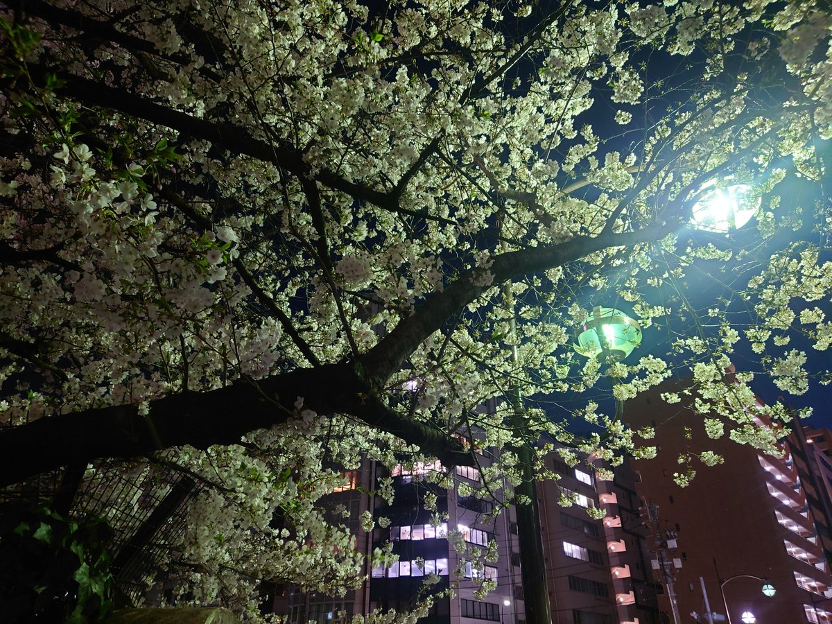 えんがわチョコフォンデュ tweet media