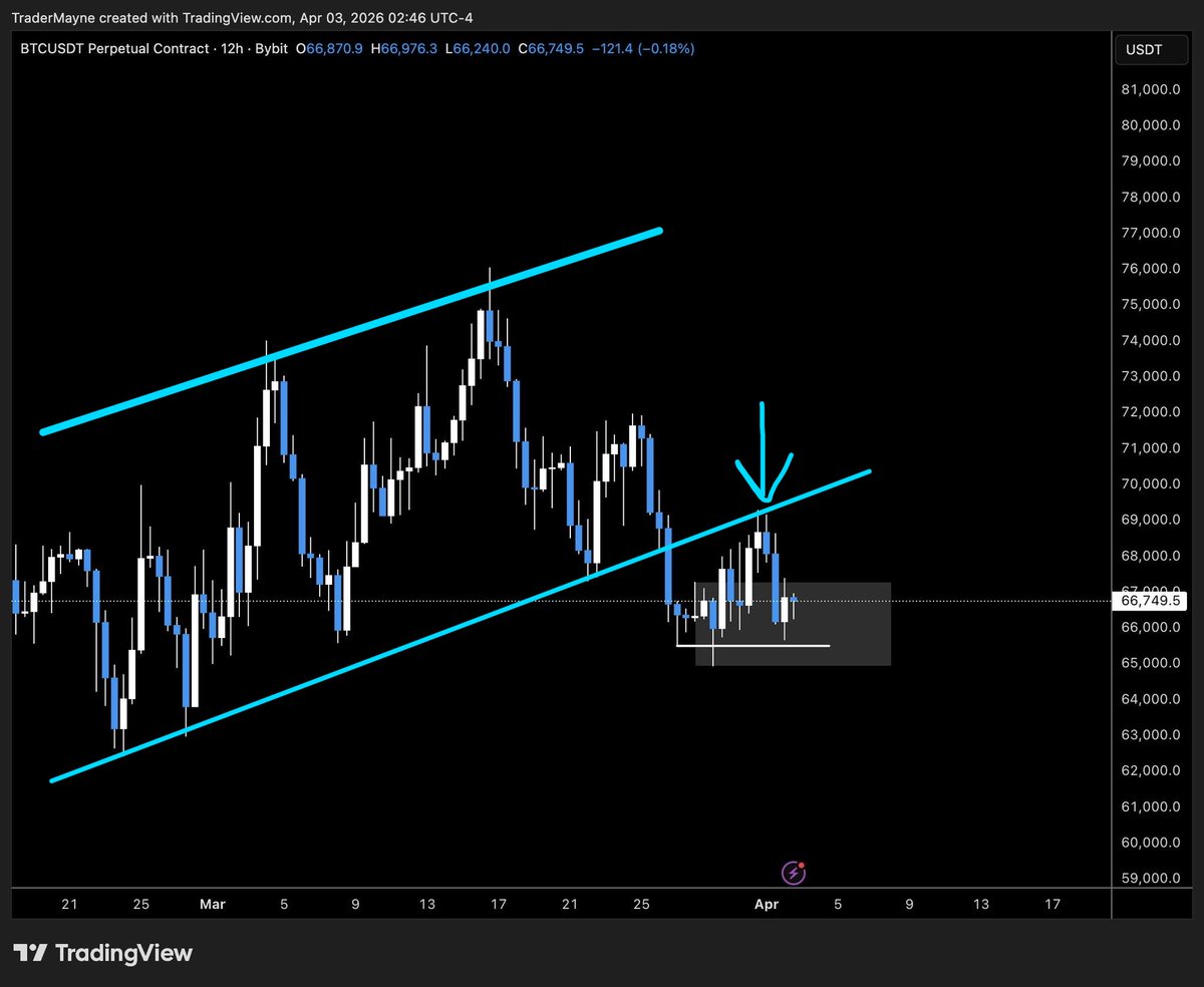 ๐ฒ๐๐๐๐ ๐๐๐๐๐ ๐ฒ๐๐ข๐๐๐ ๐ช tweet media