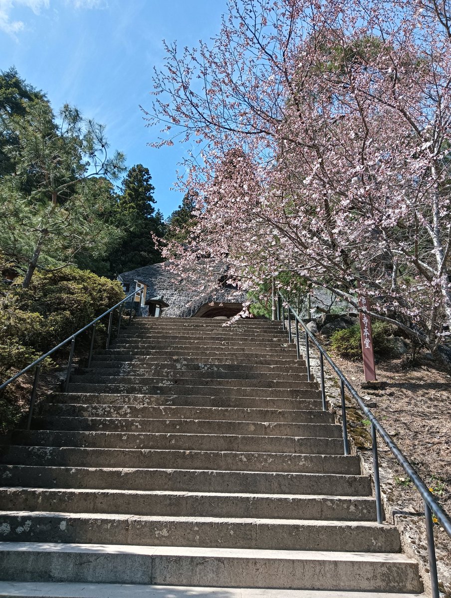 北向観音・常楽寺 tweet media