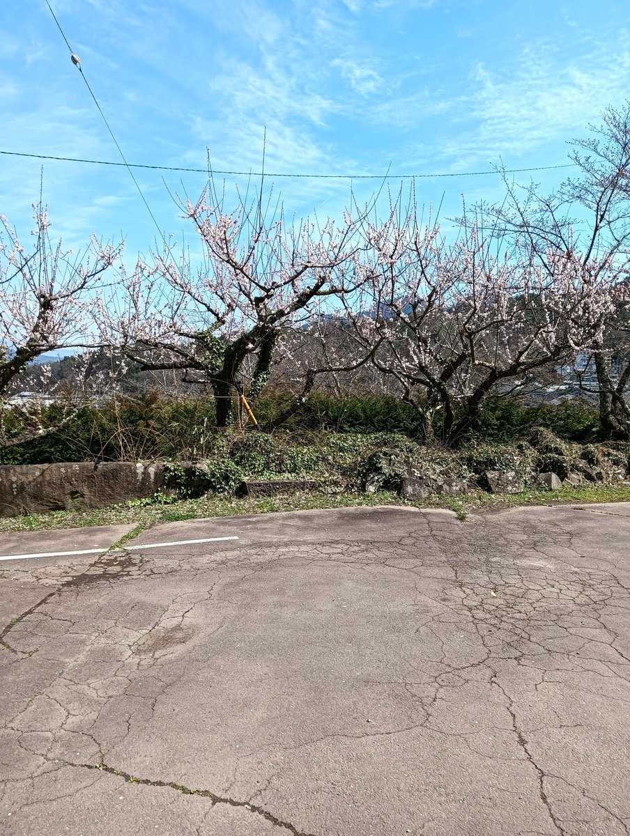 北向観音・常楽寺 tweet media