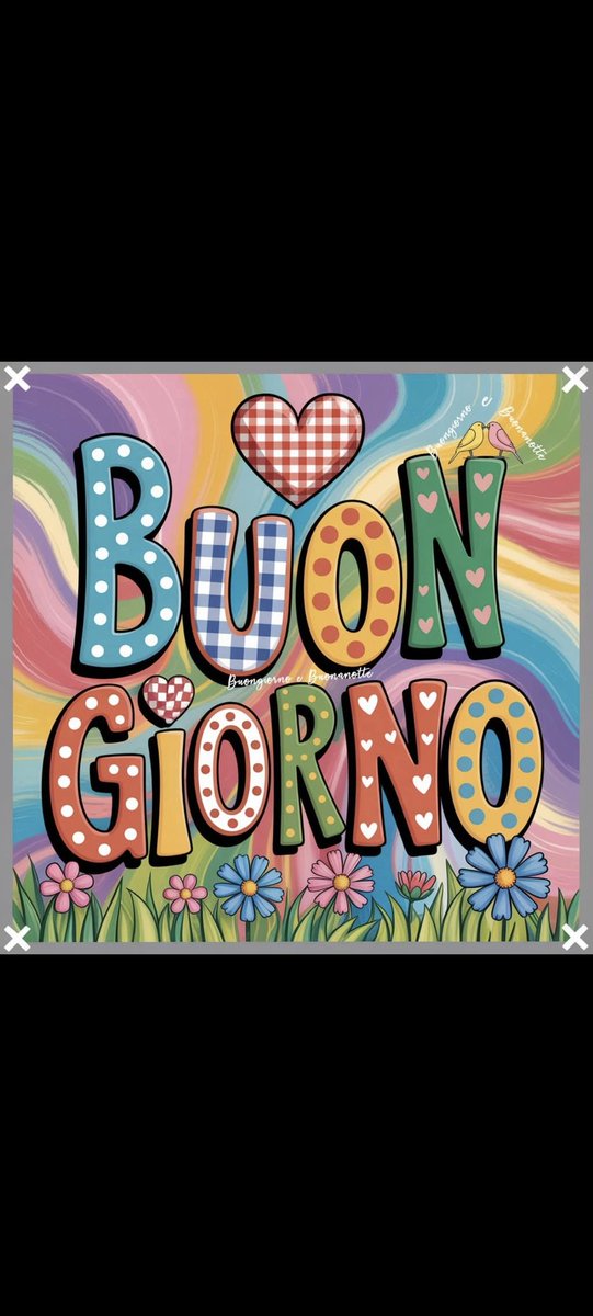 Raffaele tweet media