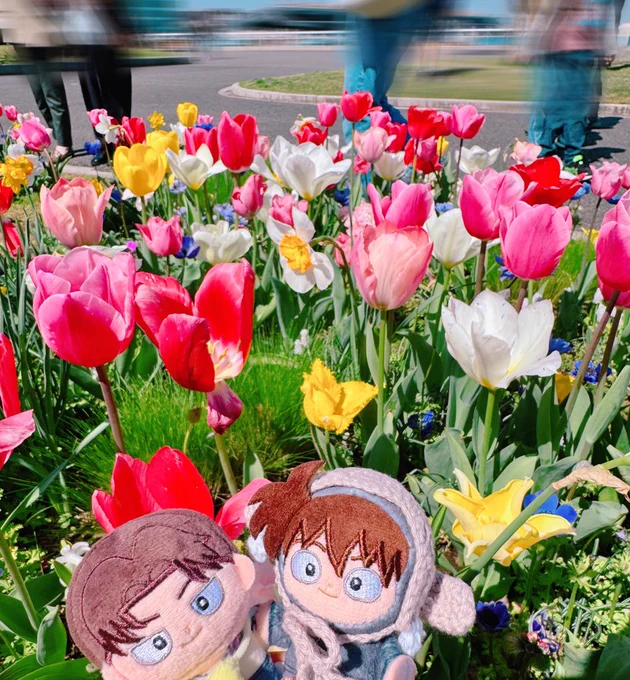 お花見
