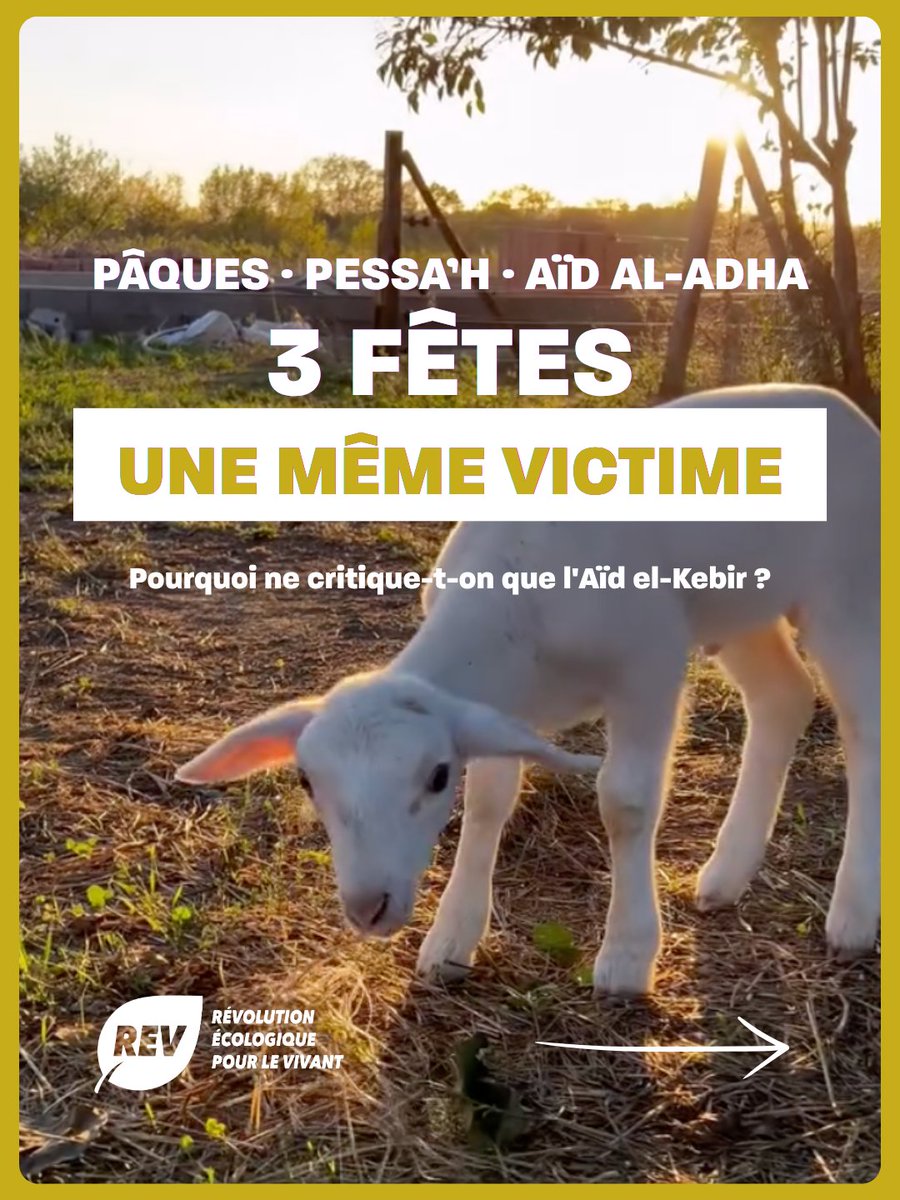 REV | Révolution Écologique pour le Vivant tweet media