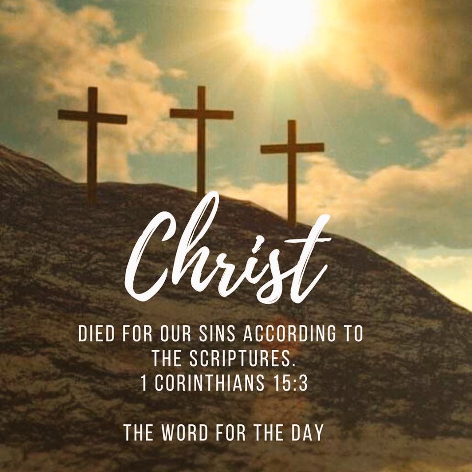 Pastor Carl Hansen tweet media