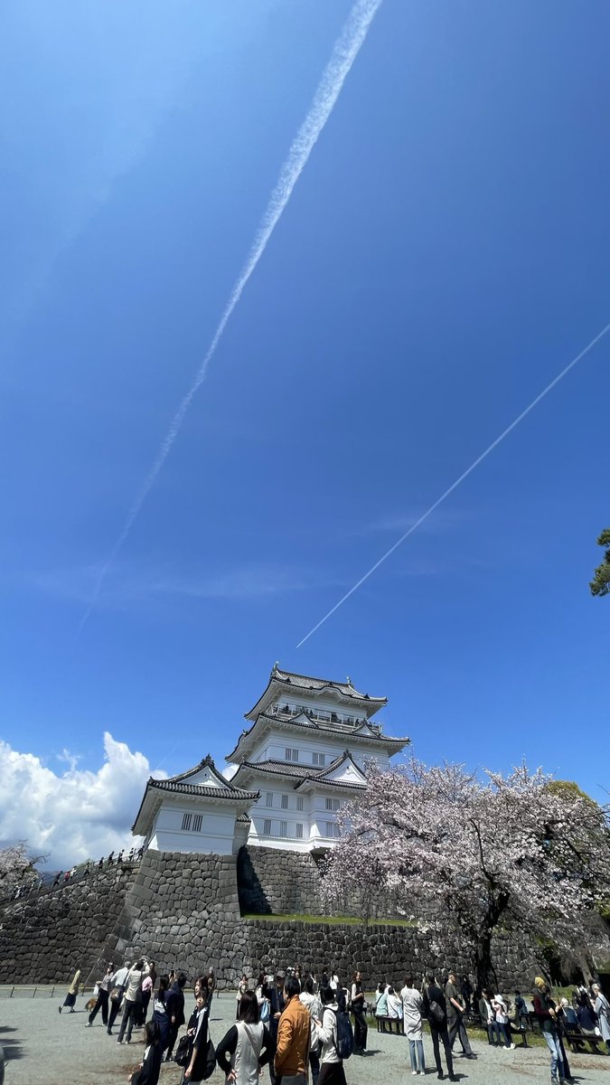 sourire_machida tweet media