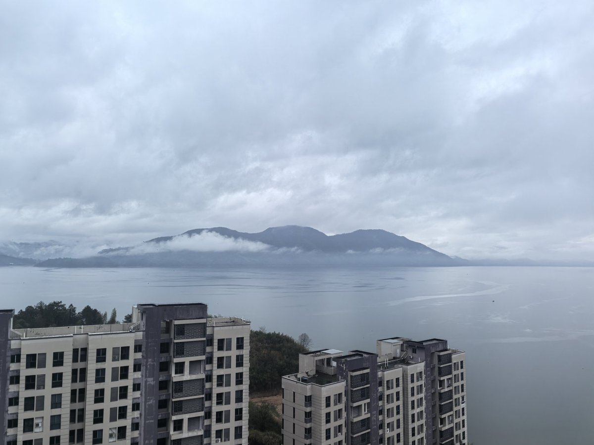 vv hou（互fo） tweet media