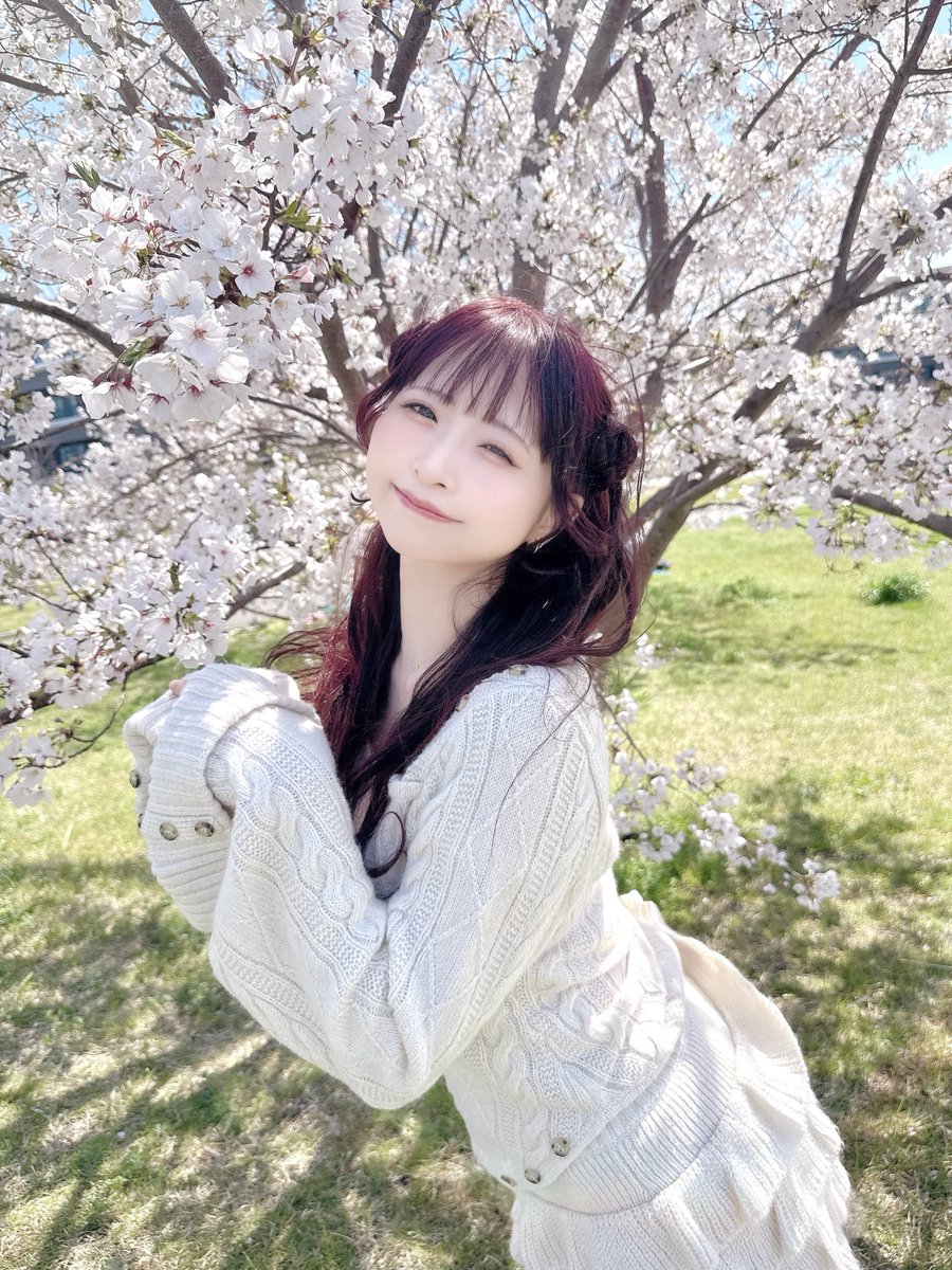 わた(春)☁️ tweet media